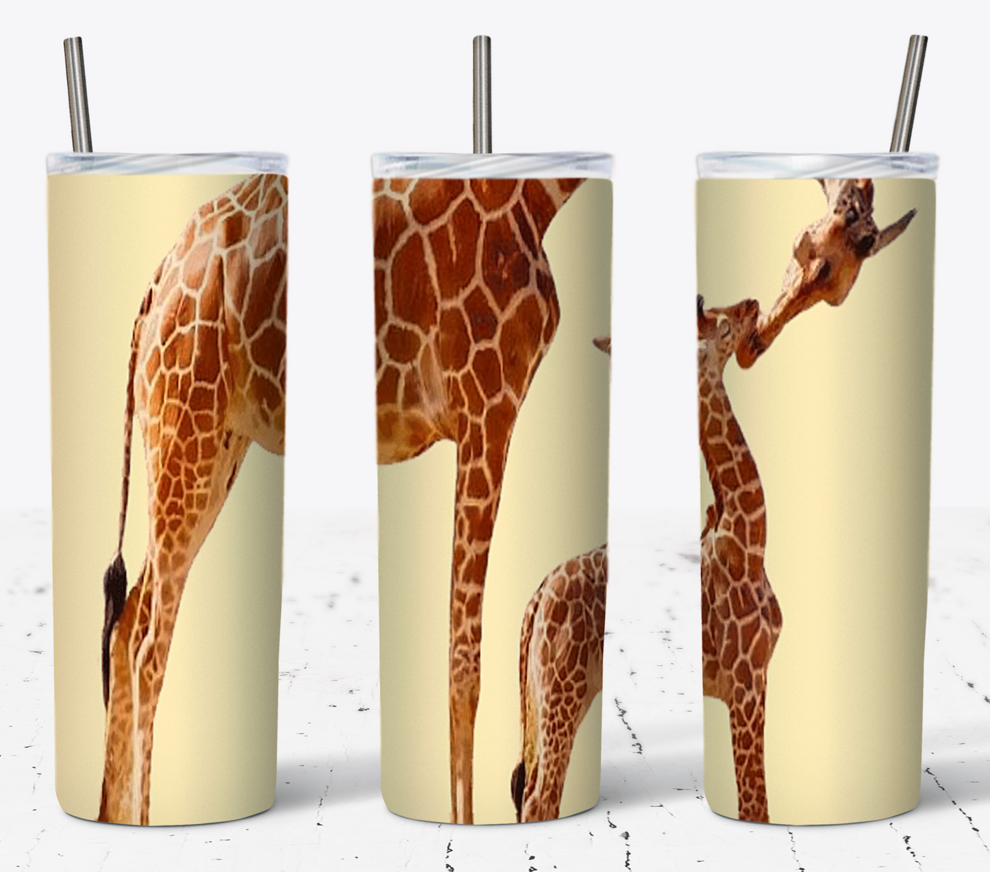 Mama and Baby Giraffe